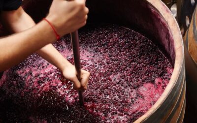 The Art of Winemaking
